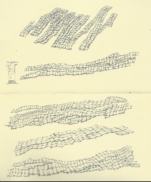 redwoodoverhead1a1a1