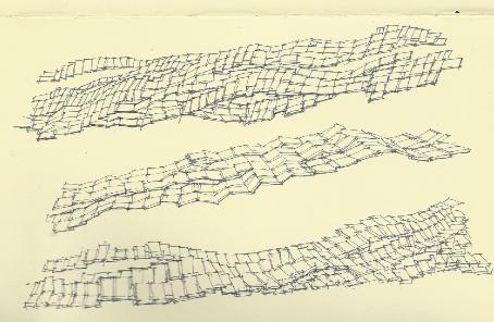 redwoodoverhead1a1a1a