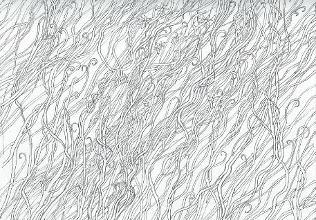 redwoodoverhead1a1a2a