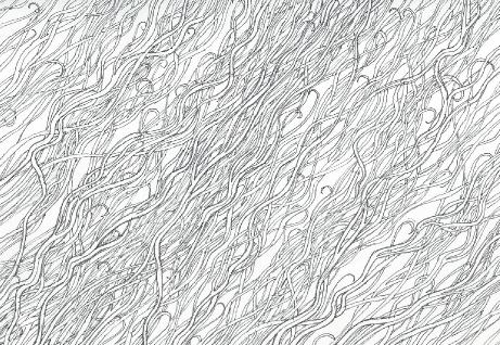 redwoodoverhead1a1a2a1